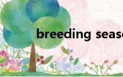 breeding season（breeding）